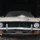 Crazy Uncle Joe’s Mustang
